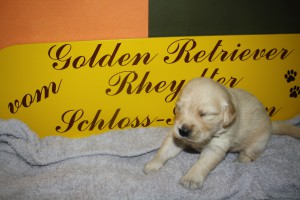 3. Woche
